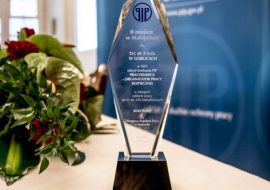 statuetka nagroda państwowej inspekcji pracy prracodawca - organizator pracy bezpiecznej