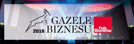 Szablon tlc gazele biznesu eng 2018 2 1140x3802