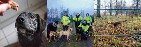 tlc rental akcja charytatywna psu na bude 1140x380 2